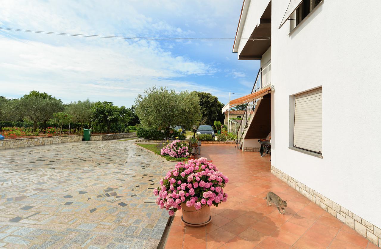 Apartment & Room Tanja 1552 พูลา ภายนอก รูปภาพ